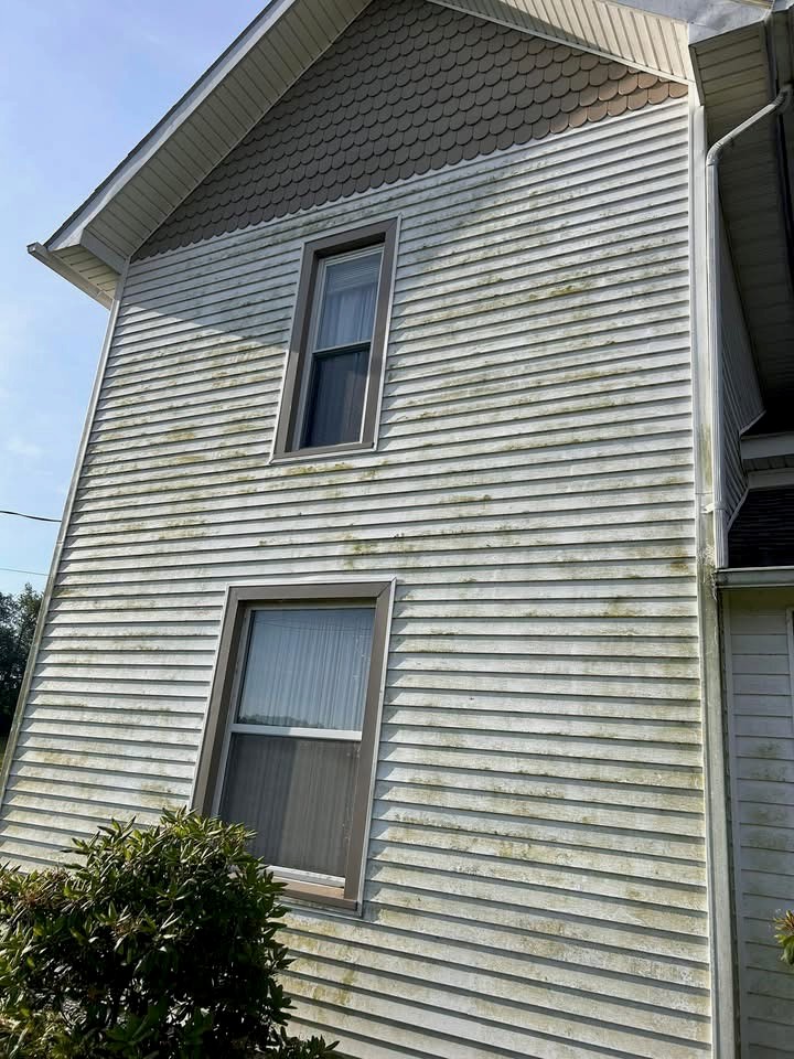 White siding before pressure washing